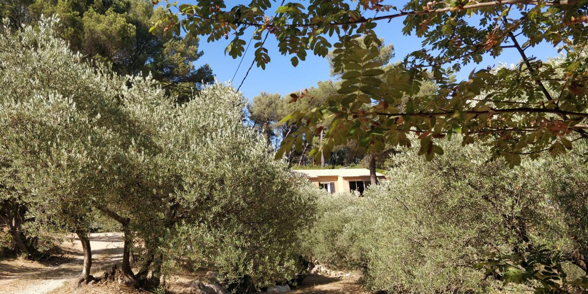 Villa Cigalons En Pleine Pinede Avec Piscine Chauffee De Mai A Septembre Auriol Zewnętrze zdjęcie