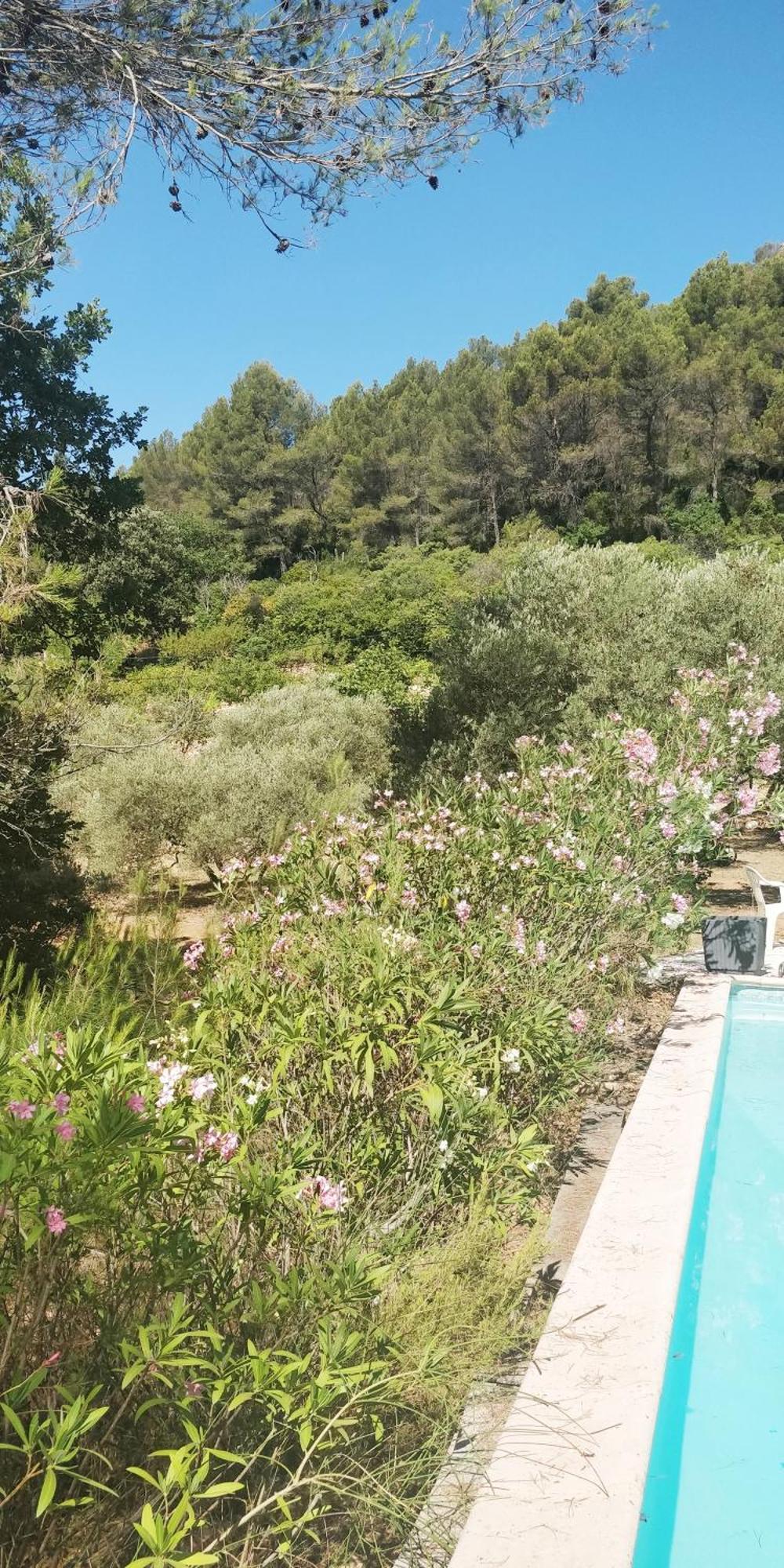 Villa Cigalons En Pleine Pinede Avec Piscine Chauffee De Mai A Septembre Auriol Zewnętrze zdjęcie