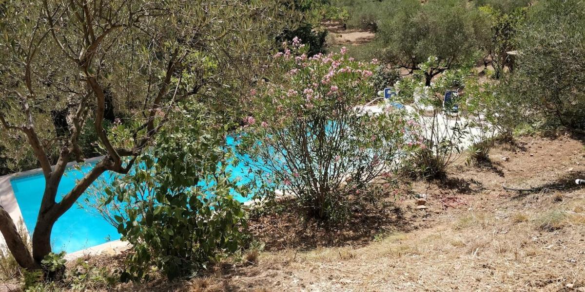 Villa Cigalons En Pleine Pinede Avec Piscine Chauffee De Mai A Septembre Auriol Zewnętrze zdjęcie